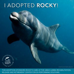 Download and share this graphic on social media to let your friends know that you're supporting Rocky!