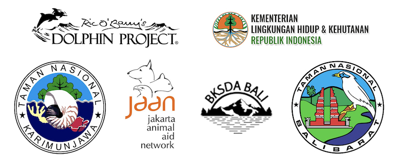 Umah Lumba partners