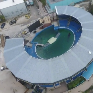 Miami Seaquarium