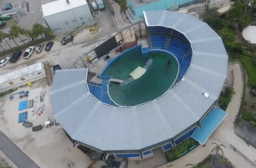 Miami Seaquarium