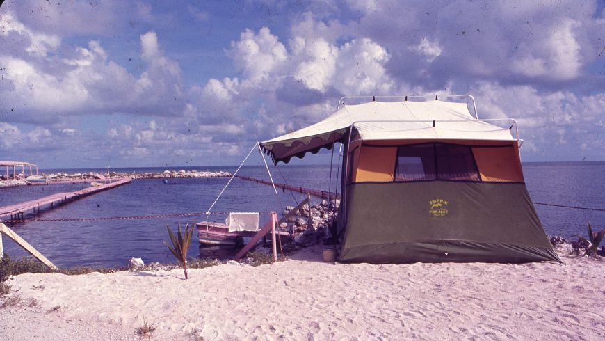 The original Dolphin Project re-adaptation center in the Florida Keys, circa 1971