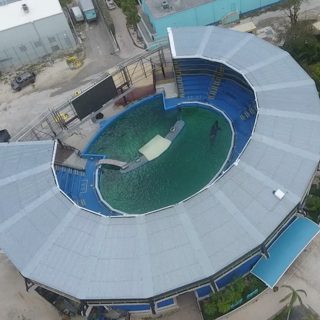 Lolita in her tiny tank at the Miami Seaquarium