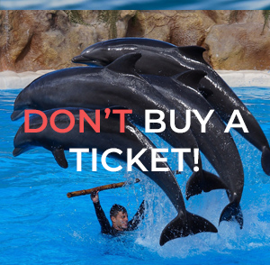 don't buy a ticket button