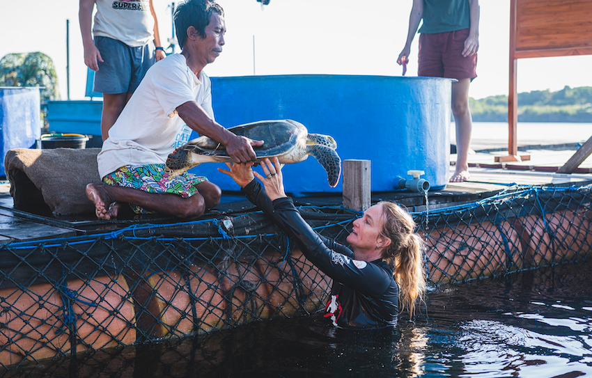 At our multi-purpose Umah Lumba Center in West Bali, Indonesia, not only have dolphins been rehabilitated and released, but turtles also receive care. Credit: DolphinProject.org