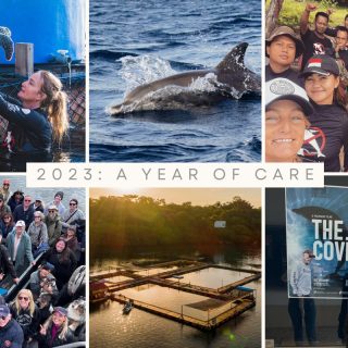 2023: A Year of Care