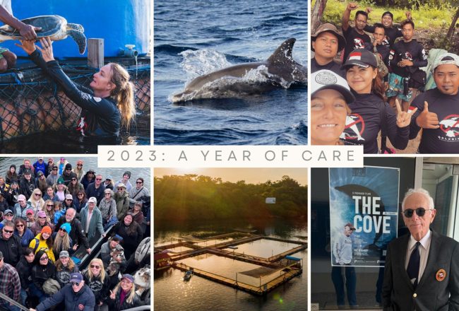 2023: A Year of Care
