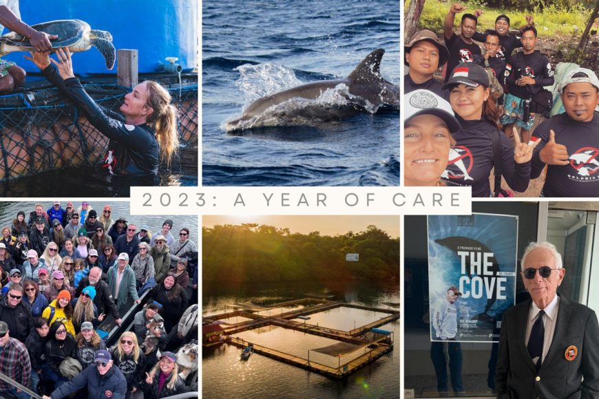 2023: A Year of Care