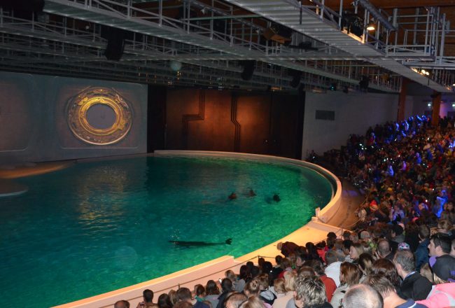 The dolphins at Kolmården Zoo in Sweden spend 24/7 in this artificially lit theater. More than 60 dolphins have died here since the show stadium opened in 1969. Even though Kolmården Zoo announced in 2022 that it would finally close its dolphin exhibit, the zoo has yet to announce what will happen to the dolphins. With Nephele’s recent death, 11 dolphins remain trapped at the zoo.