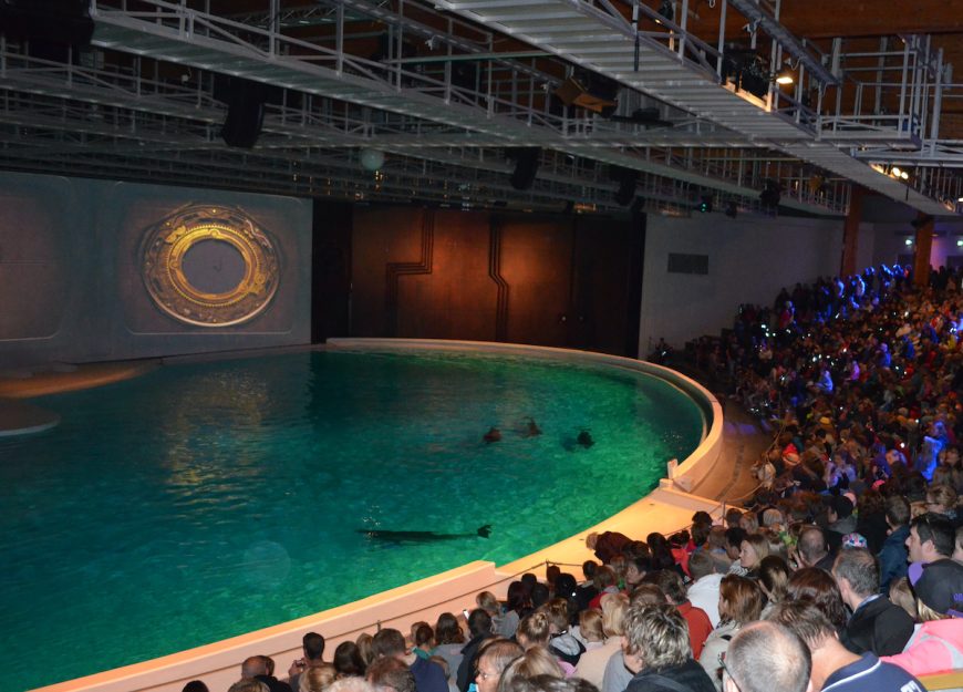 The dolphins at Kolmården Zoo in Sweden spend 24/7 in this artificially lit theater. More than 60 dolphins have died here since the show stadium opened in 1969. Even though Kolmården Zoo announced in 2022 that it would finally close its dolphin exhibit, the zoo has yet to announce what will happen to the dolphins. With Nephele’s recent death, 11 dolphins remain trapped at the zoo.