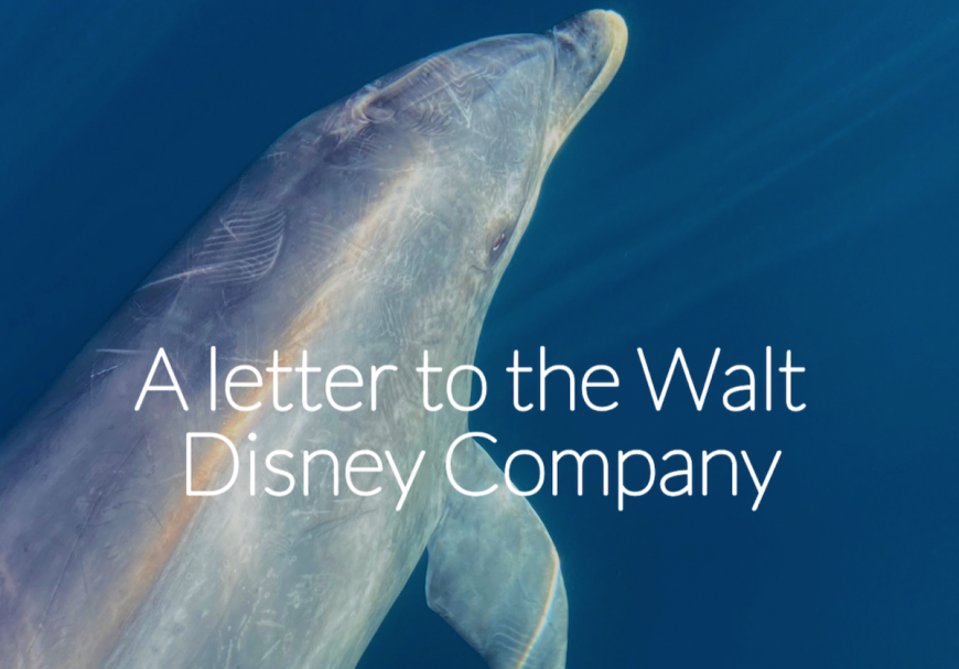 A letter to the Walt Disney Company
