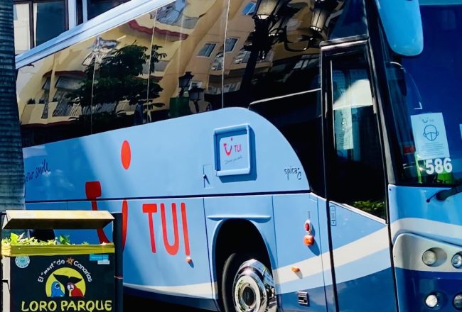 The German travel and tourism company TUI continues to support the commercial exploitation of orcas and other dolphins, even though these complex marine mammals clearly don’t thrive in concrete stadiums. On one of its websites, TUI promotes the orca show at Loro Parque as an "Orca Ocean spectacle," thereby admitting that the role of the performing orcas is to provide superficial holiday fun.