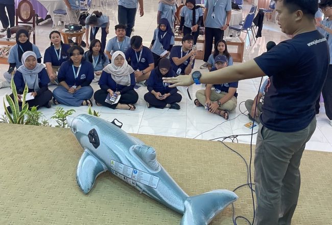 Our Indonesia team conducts marine mammal stranding training, Bali, Indonesia