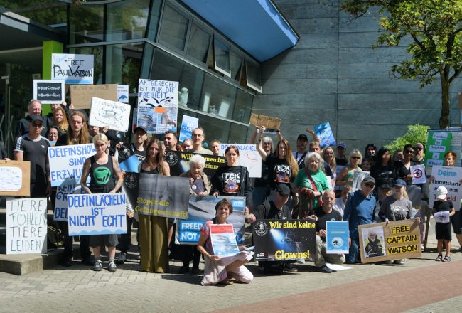 Duisburg Zoo has been exploiting dolphins in shows for five decades. The dolphins are confined in a small roof-covered stadium, and there is no way for them to express their natural abilities, such as foraging, navigating, and exploring. It is time for all countries in Europe to finally ban the cruelty. We support the German NGO "Freedom for Dolphins and Whales" in their efforts to stop the exploitation of dolphins in Germany.