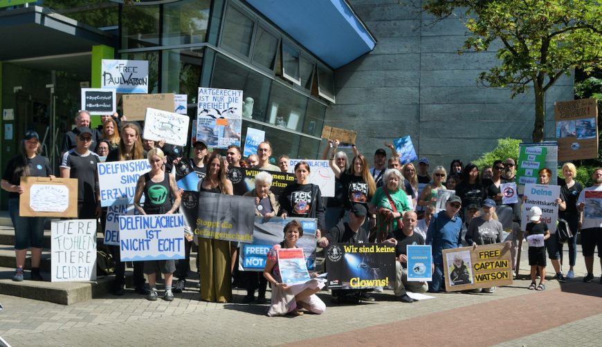 Duisburg Zoo has been exploiting dolphins in shows for five decades. The dolphins are confined in a small roof-covered stadium, and there is no way for them to express their natural abilities, such as foraging, navigating, and exploring. It is time for all countries in Europe to finally ban the cruelty. We support the German NGO "Freedom for Dolphins and Whales" in their efforts to stop the exploitation of dolphins in Germany.