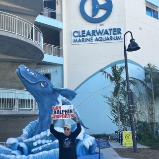 Ric O’Barry, Founder/Director of Dolphin Project demonstrates at Clearwater Marine Aquarium, opposing the proposed transfer of five captive dolphins from Attica Zoological Park in Athens, Greece to Clearwater Marine Aquarium in Clearwater, Florida.
