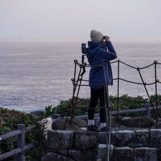 Dolphin Project Cove Monitor Alex watches as the boats go out in search of dolphin pods, Taiji, Japan