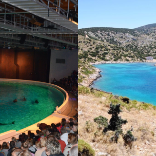 A tank or a sanctuary?