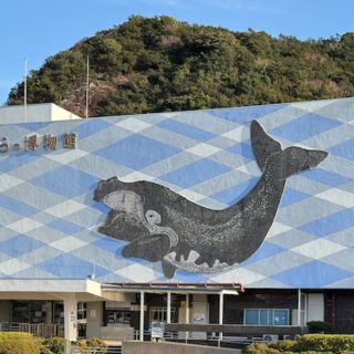 Entrance of the Taiji Whale Museum