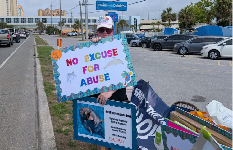 Empty the Tanks protest at the now-defunct Gulf World Marine Park