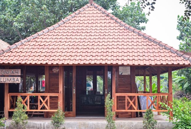 Wildlife Crime Museum, Umah Lumba Center, West Bali Indonesia