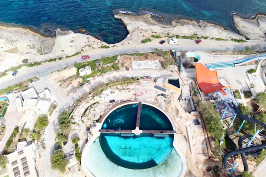 Mediterraneo Marine Park in Malta, which calls itself "a premier tourist attraction," has given this barren and shallow concrete confinement the ludicrous name "Dolphin Lagoon" and exploits the trapped dolphins in shows and a petting-program for tourists. The dolphins have no access to shade and cannot seek any protection from the relentless sun during the hot summer months. No dolphin should ever have to live under such inhumane conditions. We are calling for an immediate investigation into the dolphins' living conditions and urge authorities in Malta to revoke the amusement park’s zoo license