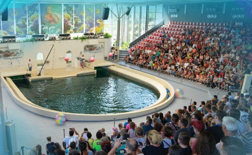 The five dolphins at Varna Dolphinarium in Bulgaria are trapped in a tiny tank inside a building - a sterile, artificial concrete box that serves as their entire world. It's the equivalent of forcing them to spend their entire lives in a bathtub, stripped of space, stimulation, and any resemblance to their natural ocean home. Calling it "living" is an insult to what these highly intelligent and social beings deserve. This isn't just confinement - it's cruelty, plain and simple