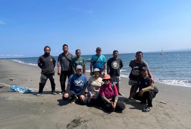 Our team in Indonesia responded to a rare stranding of a beaked whale, August 2025.