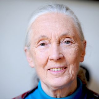 Jane Goodall. Licensed under the Creative Commons Attribution-Share Alike 4.0 International license, author: Nikeush