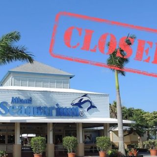 Miami Seaquarium has closed its doors, ending decades of dolphin captivity
