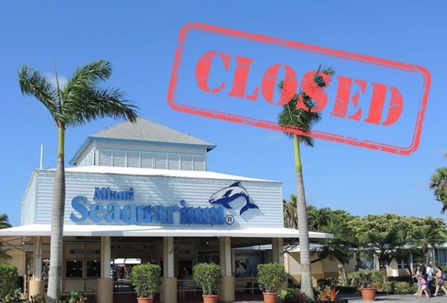 Miami Seaquarium has closed its doors, ending decades of dolphin captivity