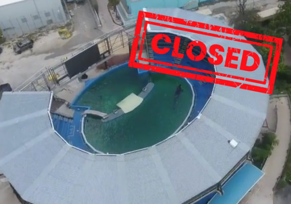 MSQ closed