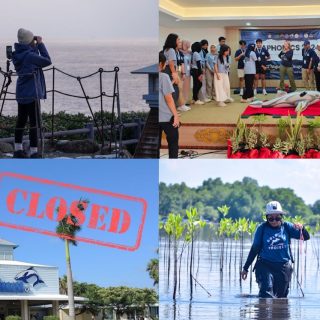 A Year in Review 2025 - Dolphin Project