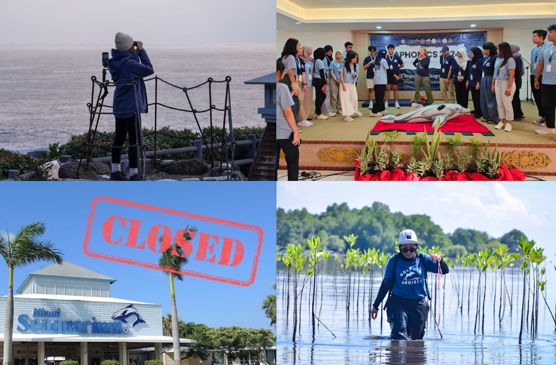 A Year in Review 2025 - Dolphin Project