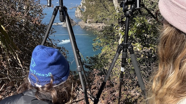 Dolphin Project Cove Monitors document a dolphin hunt in Taiji, Japan