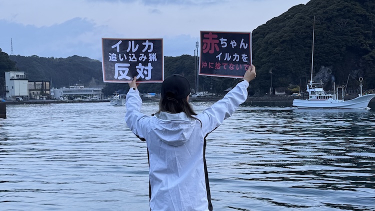 Japanese activist Rikako Fukumoto at the Taiji harbor as hunting boats head out