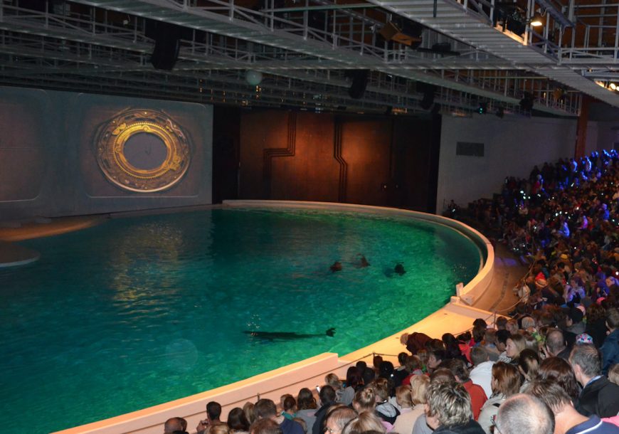 When we inspected Kolmården Zoo's dolphinarium several years ago, we found dolphins confined to a stark, indoor amphitheater filled with chlorinated water, cut off from even the most basic elements of nature. Since the facility — ironically named Marine World — opened in 1969, dozens of dolphins, including several captured in the wild, have died there.