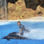 TUI sells experiences where dolphins are used as ride-on objects, turning them into attractions within a commercial holiday offer and stripping them of any recognition as complex, intelligent beings. Credit: Helene O'Barry
