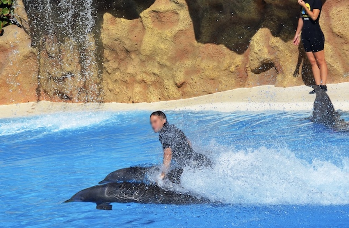 TUI sells experiences where dolphins are used as ride-on objects, turning them into attractions within a commercial holiday offer and stripping them of any recognition as complex, intelligent beings. Credit: Helene O'Barry