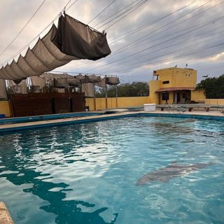 Dolphins at Vallarta Adventures are confined in small concrete tanks, stripped of any natural habitat, space, or stimulation. Forced into extreme confinement, deprived of normal social interactions, and exposed to constant human handling, they show signs of chronic stress and tremendous suffering—all so tourists can be entertained and the facility can profit from their exploitation. Credit: Empty the Tanks Mexico