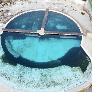 This is what "complexity" and "choice" looks like at Mediterraneo Marine Park. An official welfare inspection carried out last year claimed the dolphins' living space provides opportunities for retreat and social choice, despite the dolphins being trapped in barren concrete tanks with no shade and nowhere to escape the relentless Maltese sun. Credit: Waves Not Walls