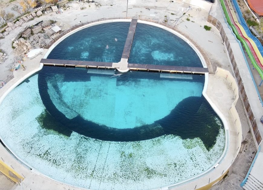 This is what "complexity" and "choice" looks like at Mediterraneo Marine Park. An official welfare inspection carried out last year claimed the dolphins' living space provides opportunities for retreat and social choice, despite the dolphins being trapped in barren concrete tanks with no shade and nowhere to escape the relentless Maltese sun. Credit: Waves Not Walls