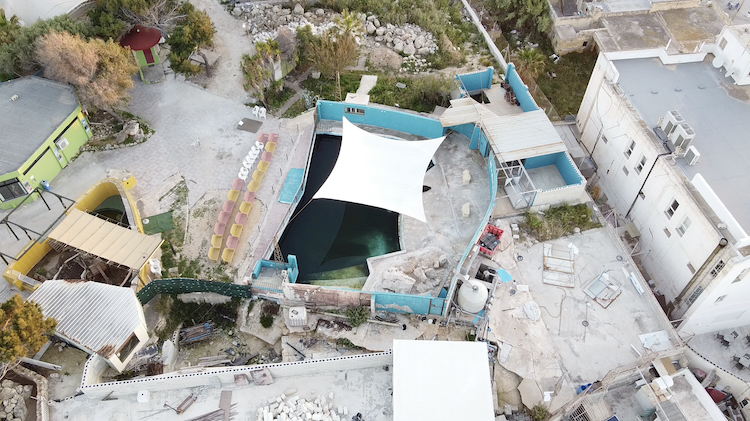 The five dolphins and a sea lion at Mediterraneo Marine Park are surrounded by construction and rubble. This pool houses a sea lion. According to an inspector, who visited the site last September, the facility nevertheless meets European animal welfare standards. Credit: Waves Not Walls