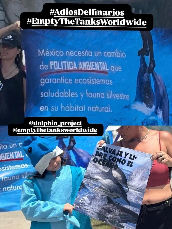 Empty The Tanks, Vallarta, Mexico