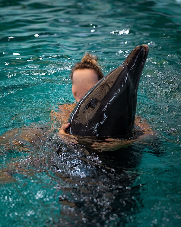 A genuine encounter cannot be bought. When a dolphin is confined, trained, and expected to interact with paying tourists, choice disappears. What remains is not a mutual connection but a commercial transaction where only one side has any say. 