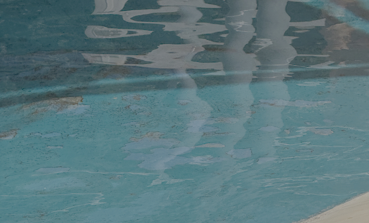 Photograph taken on July 25, showing the floor of one of Selwo Marina's tanks. Peeling blue paint has exposed the concrete beneath, leaving both the paint and the concrete accessible to the dolphins. Credit: Alexandra Johnston
