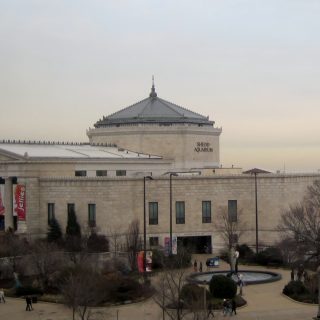 Shedd Aquarium, Chicago, Illinois. License: Creative Commons Attribution-Share Alike 2.0 Generic license; author: Teemu008