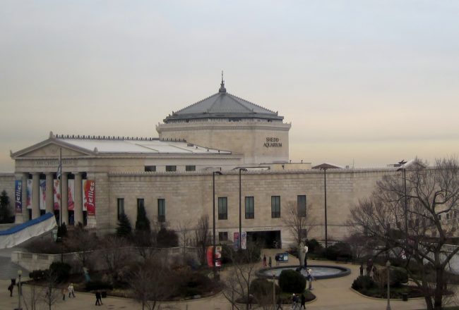Shedd Aquarium, Chicago, Illinois. License: Creative Commons Attribution-Share Alike 2.0 Generic license; author: Teemu008