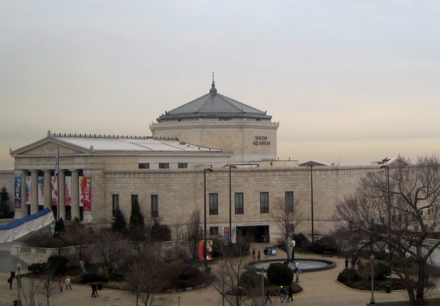 Shedd Aquarium, Chicago, Illinois. License: Creative Commons Attribution-Share Alike 2.0 Generic license; author: Teemu008