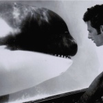Ric O'Barry with Hugo, Miami Seaquarium